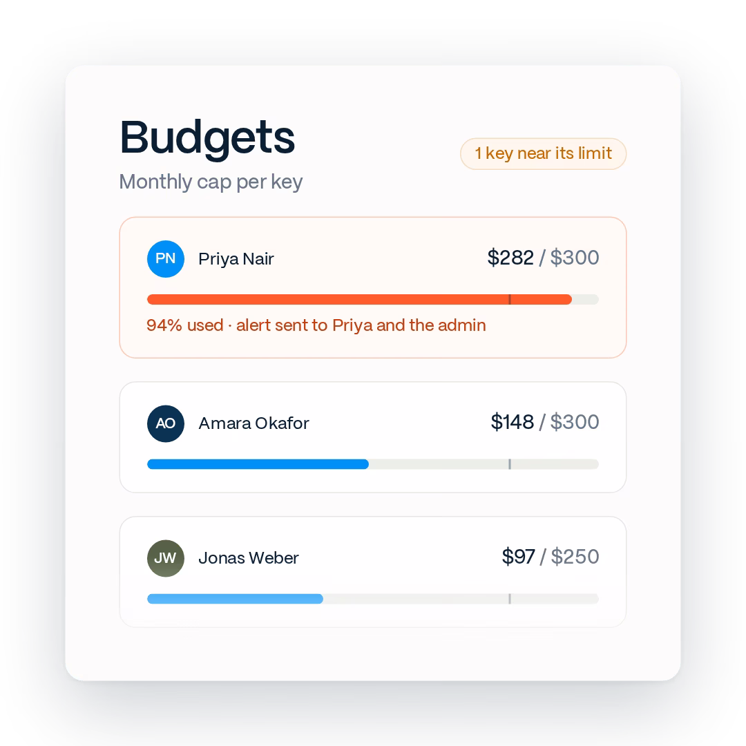 Budget panel showing a monthly cap per key, spend so far, and a warning on one key near its limit.